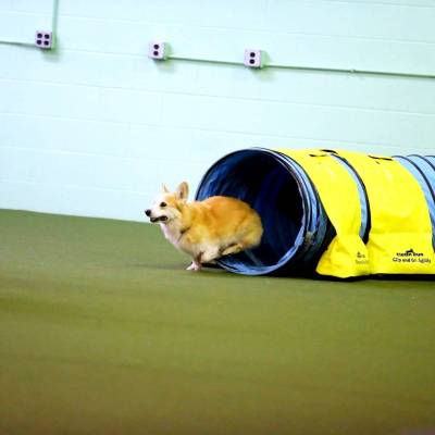 corey-tunnel_original_copy_1