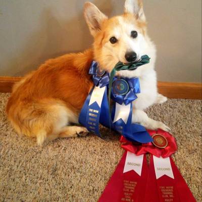 cory-medals_original_copy_1